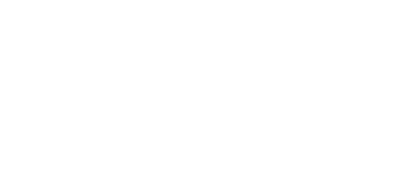 B2B PartyVikings