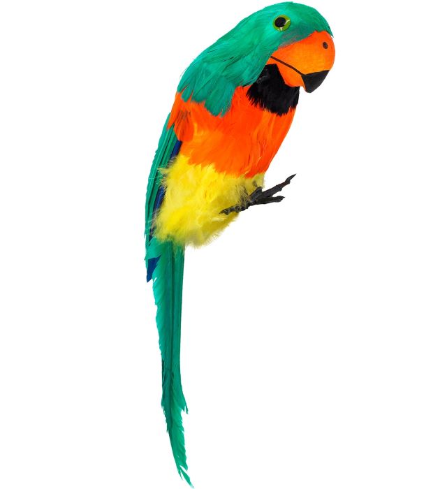 Billede af Grøn papegøje med fjer