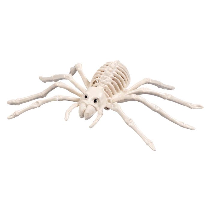 Edderkop skelet dekoration - 23x14 cm