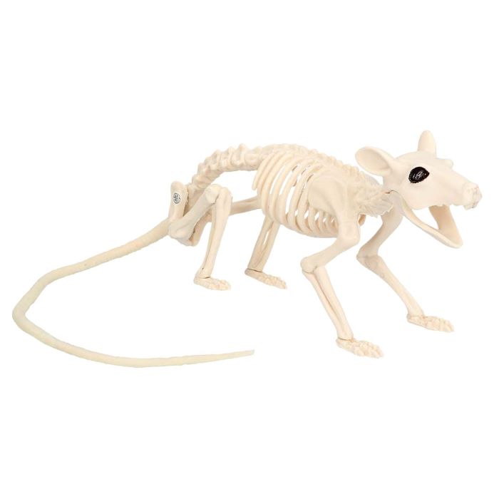 Rotte skelet dekoration - 46x7 cm