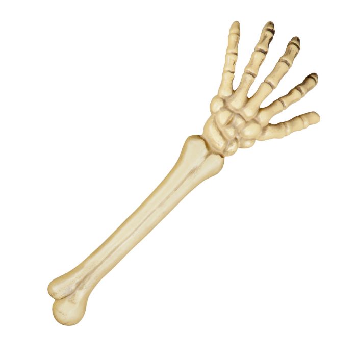 Halloween skelet arm - 46 cm