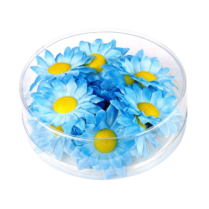 Kunstige lyseblå margueritter 20x