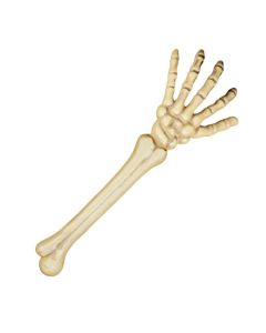 Halloween skelet arm - 46 cm