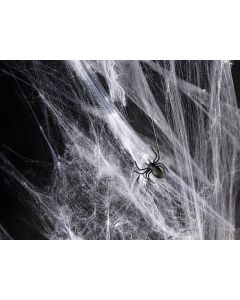 Hvidt spindelvæv med edderkopper