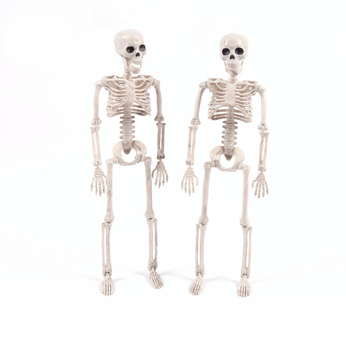 Halloween Skelet 90 cm