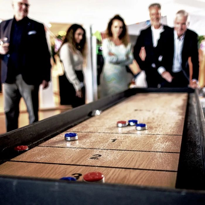 Leje af mega shuffleboard deluxe 280x75 cm 