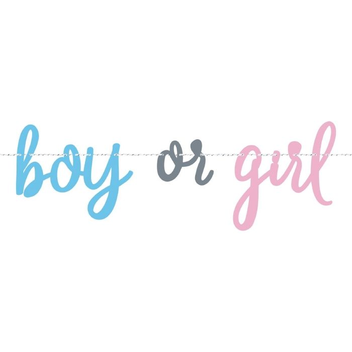 Gender reveal guirlande boy or girl 2,13m 