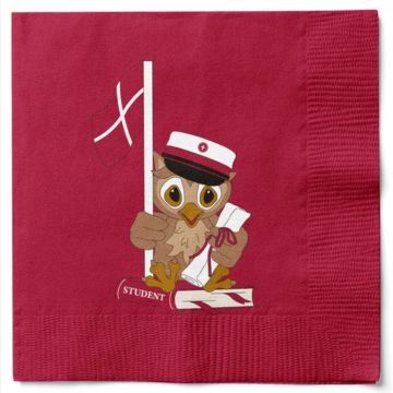 Servietter med ugle og studenterhue rød student 20x Det Gamle Apotek