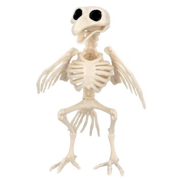 Fugle skelet dekoration - 20x11 cm