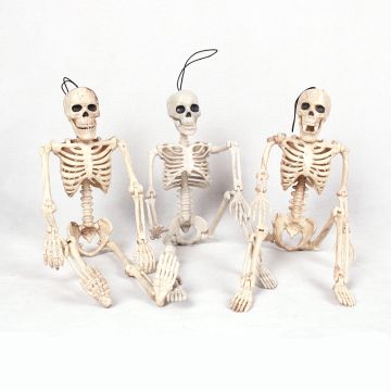 Halloween Skelet
