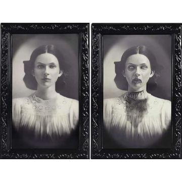 Uhyggeligt 3D halloween portræt med skiftende billede 38x25 cm - Dame portræt