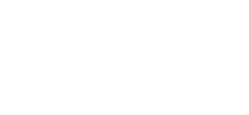 PartyVikings